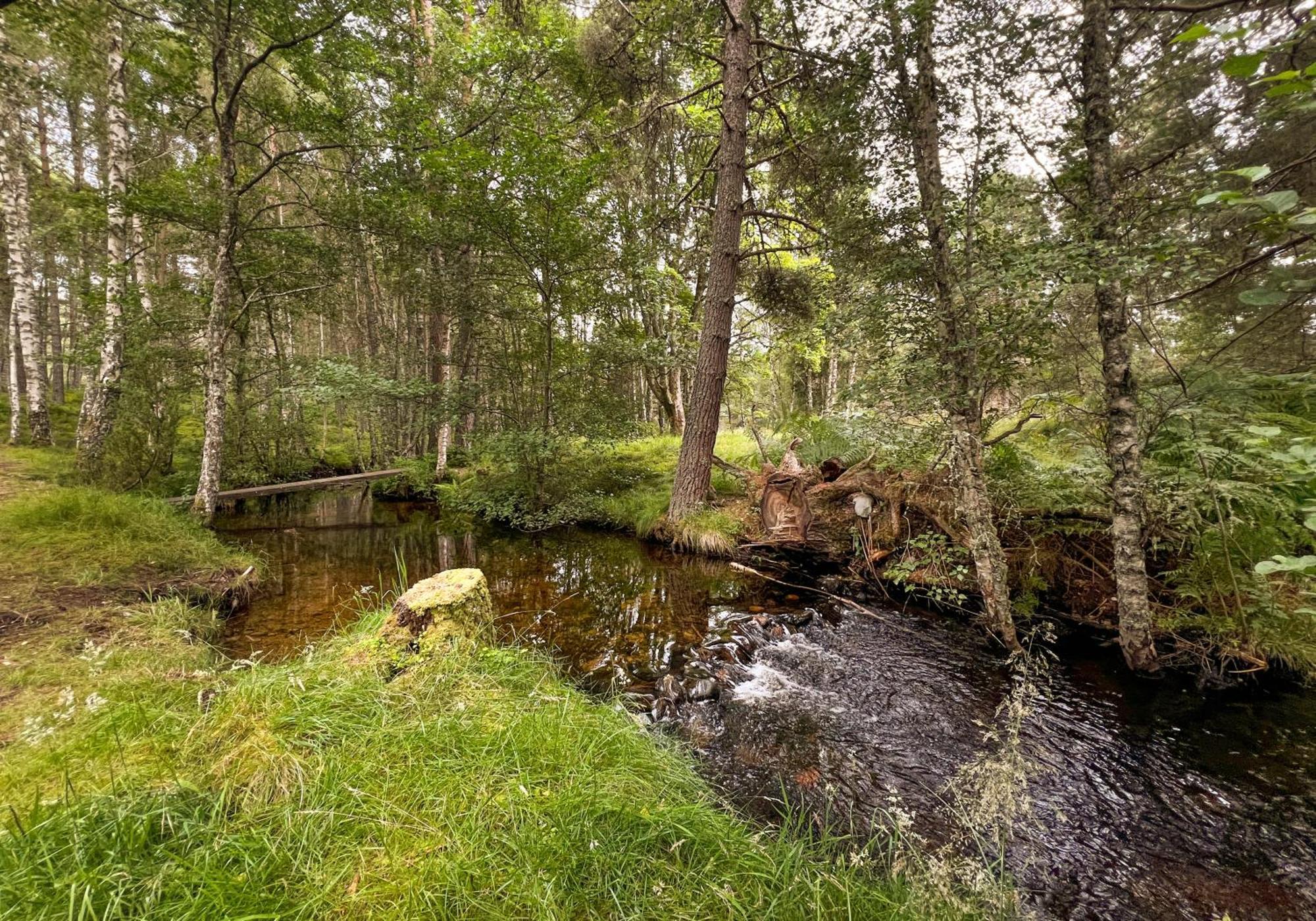Cairngorm Lodge Rothiemurchus Aviemore Eksteriør billede